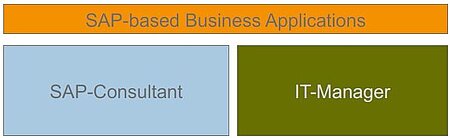 Grafik mit farbigen Blöcken, in denen zwei Beispiele möglicher beruflicher Perspektiven für SAP-Master aufgezeigt sind. (SAP-Consultant, IT-Manager)