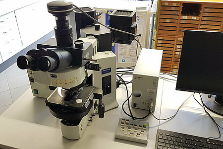 Olympus Durchlicht Mikroskop BX61